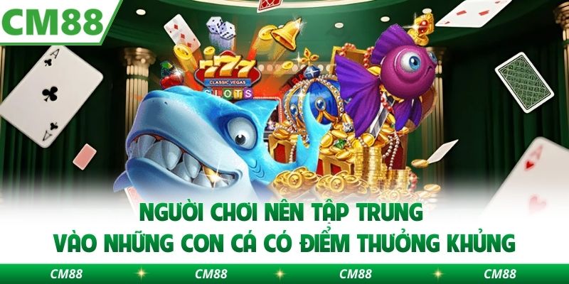 Người chơi nên tập trung vào những con cá có điểm thưởng khủng